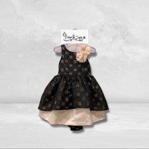 Black Lace Overlay Pippa & Julie Sleeveless Dress